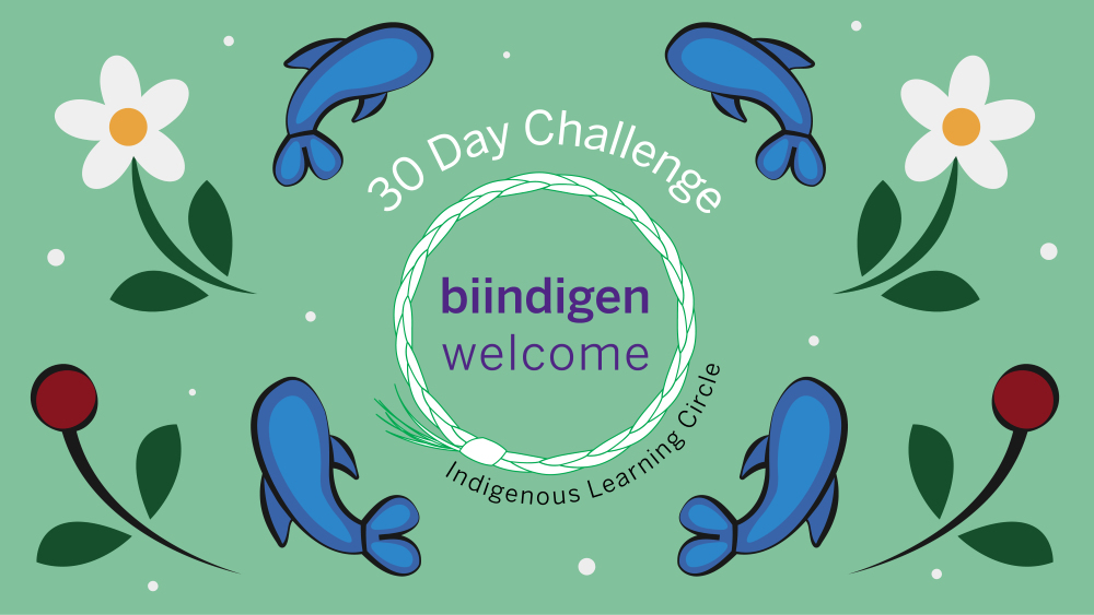30 Day Challenge Biindigen Banner